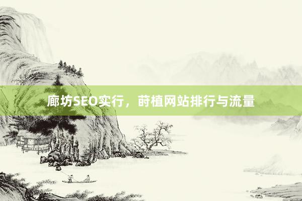 廊坊SEO实行，莳植网站排行与流量