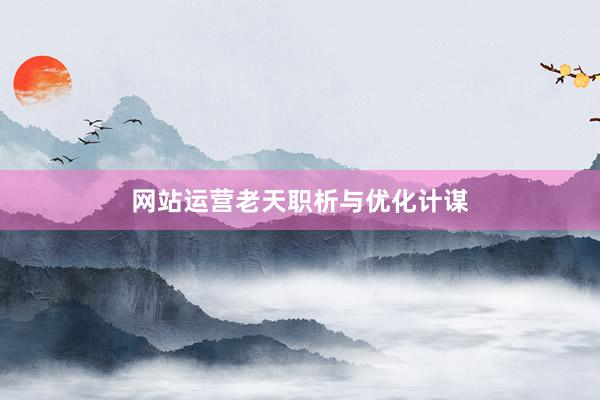 网站运营老天职析与优化计谋