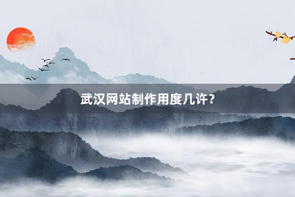 武汉网站制作用度几许？